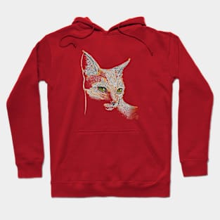 my cat Hoodie